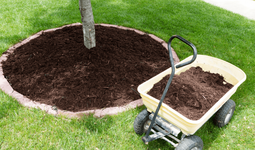 MULCHING